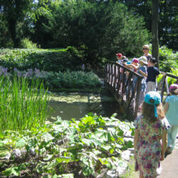 Półkolonia w Pracowni Artystycznej "Mali Twórcy" - dzieci na wycieczce w Ogrodzie Botanicznym - nad jeziorkiem